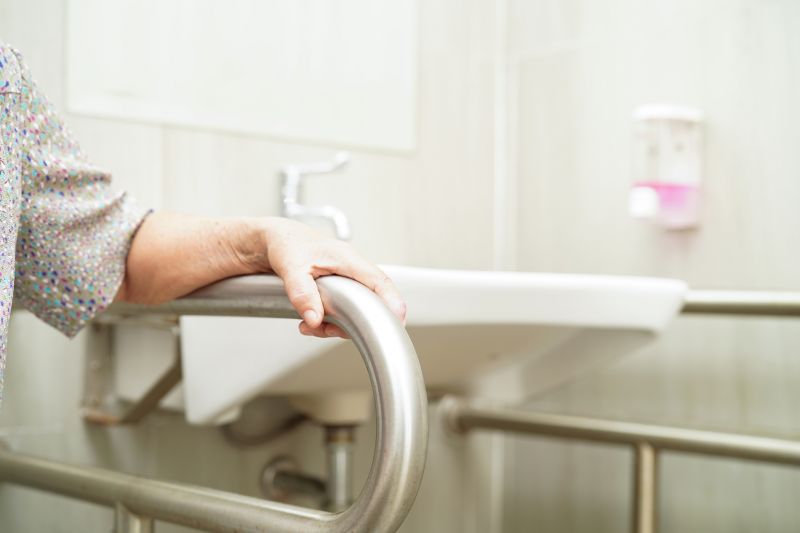 Dog in a shaded area