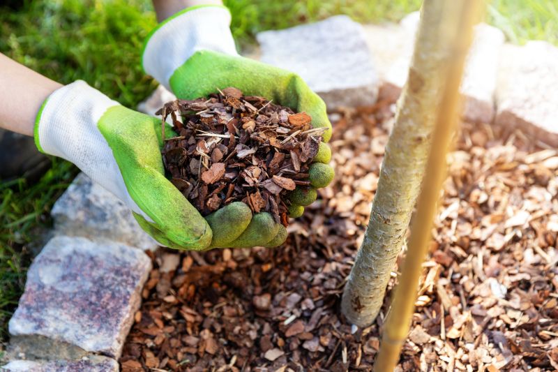 Cost of Bark Delivery — Cost of Bark Delivery