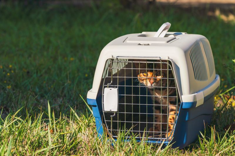 During Busy Travel Seasons