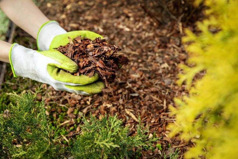 As bark decomposes, it enriches the soil, improving its structure